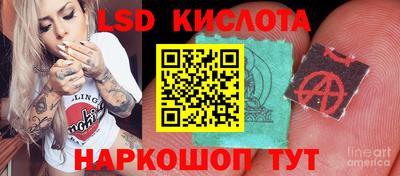сатива Кинель