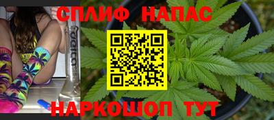 сатива Кинель