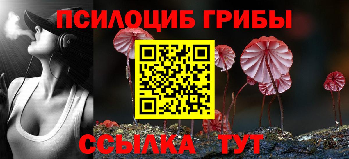 Псилоцибиновые грибы Psilocybe  Вход с VPN  Кстово 