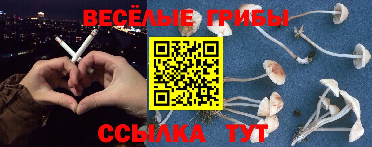 Меф  Кстово  Cocaine  Меф МЯУ МЯУ кристаллы  Вход с VPN  ГАШИШ  МАРИХУАНА 